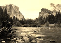 Sepia