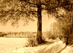 Sepia