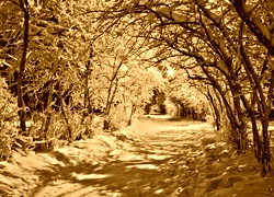 Sepia