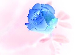 Negatyw