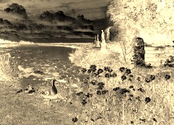 Sepia + Negatyw