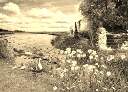 Szary + Sepia