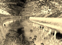 Sepia + Negatyw