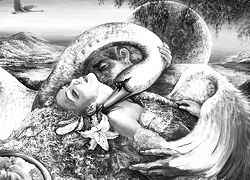 Szary + Sepia