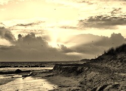 Sepia