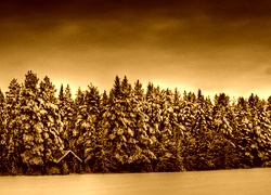 Sepia