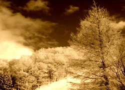 Sepia