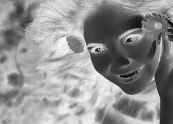 Szary + Negatyw