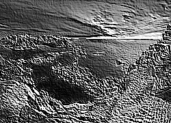 Skamielina