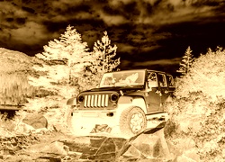 Sepia + Negatyw