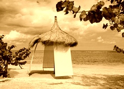 Sepia