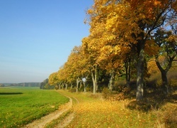 Oryginalny obrazek