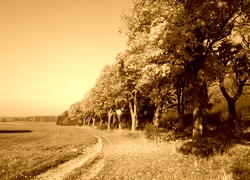 Sepia
