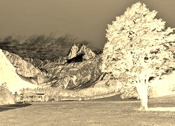 Sepia + Negatyw