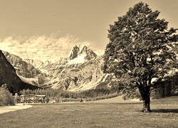 Szary + Sepia