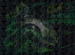 Oryginalny obrazek
