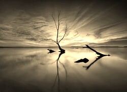 Szary + Sepia