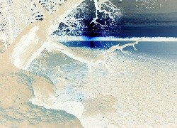 Negatyw