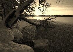 Szary + Sepia