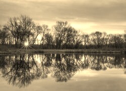 Szary + Sepia