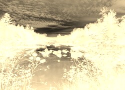 Sepia + Negatyw