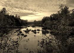 Szary + Sepia