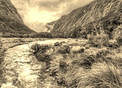 Szary + Sepia