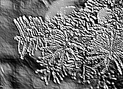 Skamielina