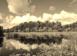 Szary + Sepia