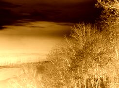 Sepia + Negatyw