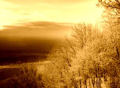 Sepia