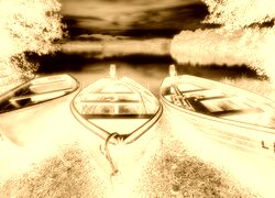 Sepia + Negatyw