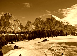 Sepia