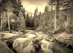 Szary + Sepia