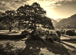 Sepia