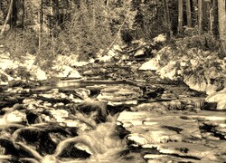 Sepia
