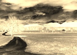 Sepia + Negatyw