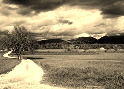 Sepia
