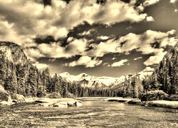 Szary + Sepia