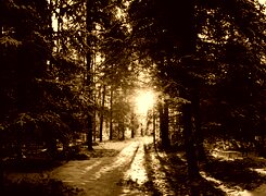 Sepia