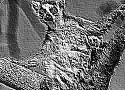 Skamielina
