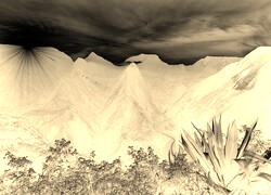 Sepia + Negatyw