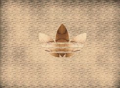 Negatyw