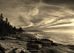 Sepia