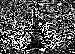 Skamielina