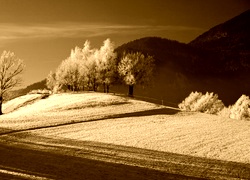 Sepia