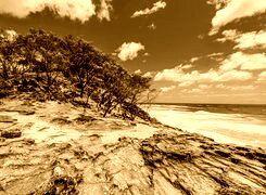 Sepia