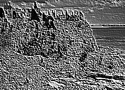 Skamielina