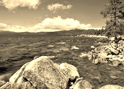 Sepia