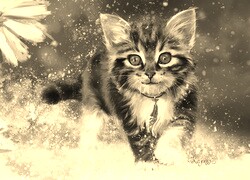 Szary + Sepia